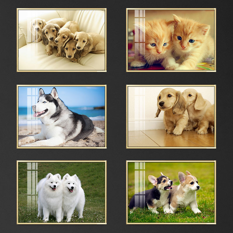 宠物装饰画画猫狗挂画画现代简约动物壁画画走廊过道儿童房卧室背图片