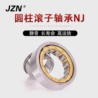 圆柱滚子轴承NJ 202 203 204 205 206 207 208 209 210 211 212EM