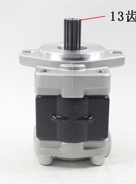 叉车齿轮油泵液压油泵R305-601100-000适用杭叉XR30 3-3.5吨