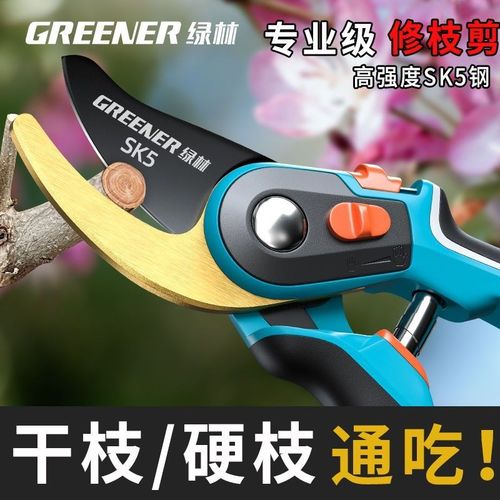 绿林修枝剪园艺剪枝果树修枝树枝专用剪刀花剪园林修花神器花卉P