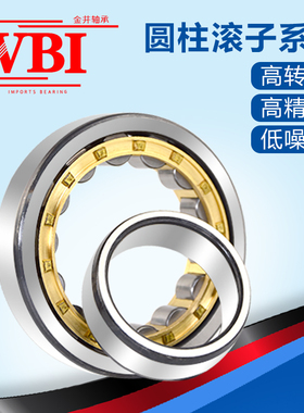 VBI圆柱滚子轴承NU2313 2314 2315 2316 2317 2318 2319 2320M