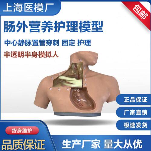 高级肠外营养护理模型 中心静脉插管穿刺训练习透明胸腔模拟人