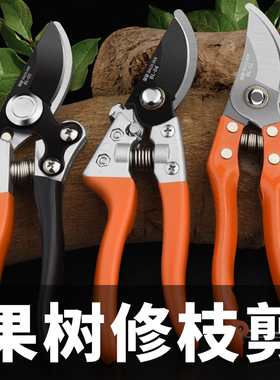 剪枝剪刀修果树修枝专用园艺剪子树枝修剪工具花剪园林神器花艺剪