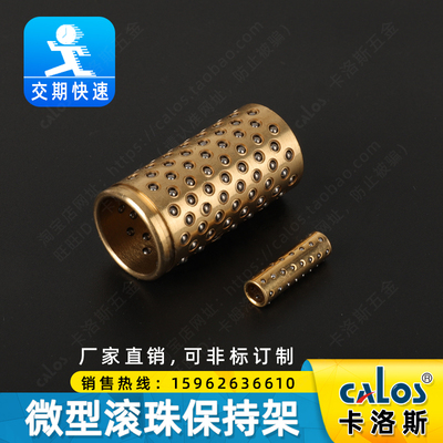 厂家微型滚珠衬套标准型BGS 3 4 5 6 8 10 12钢珠1mm导向套FZ保持