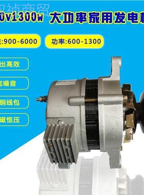 2120ZXEV500W小型永磁无刷压恒纯铜线交高频率家用照明流发电机包