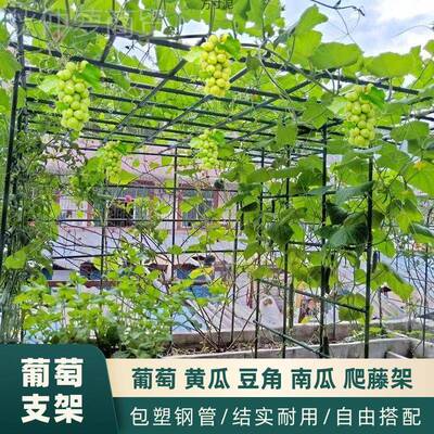 外庭院葡萄架组装支架户百香果BHE苦瓜攀铁爬架艺棚架台植阳物爬