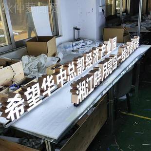 定制ZJE门头广告g不锈钢迷你发字连锁门店loo无边树字光脂发光字