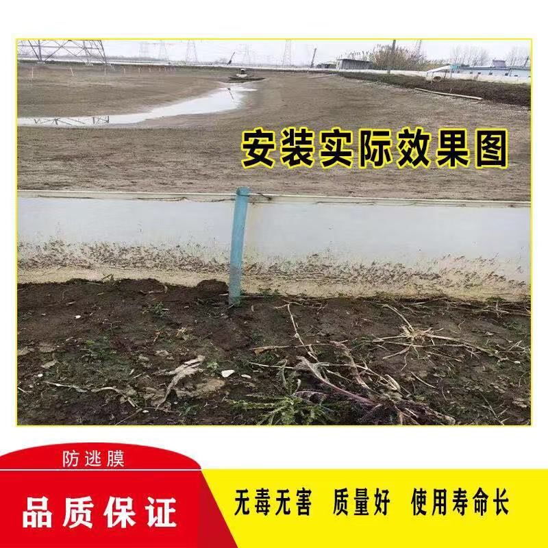 养殖防逃膜小龙虾养殖防逃网加厚防逃膜泥鳅防逃网养鸡防逃网