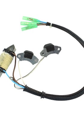 2冲程30马力船外机发电线圈69P-85541-09 舷X外机点火线圈