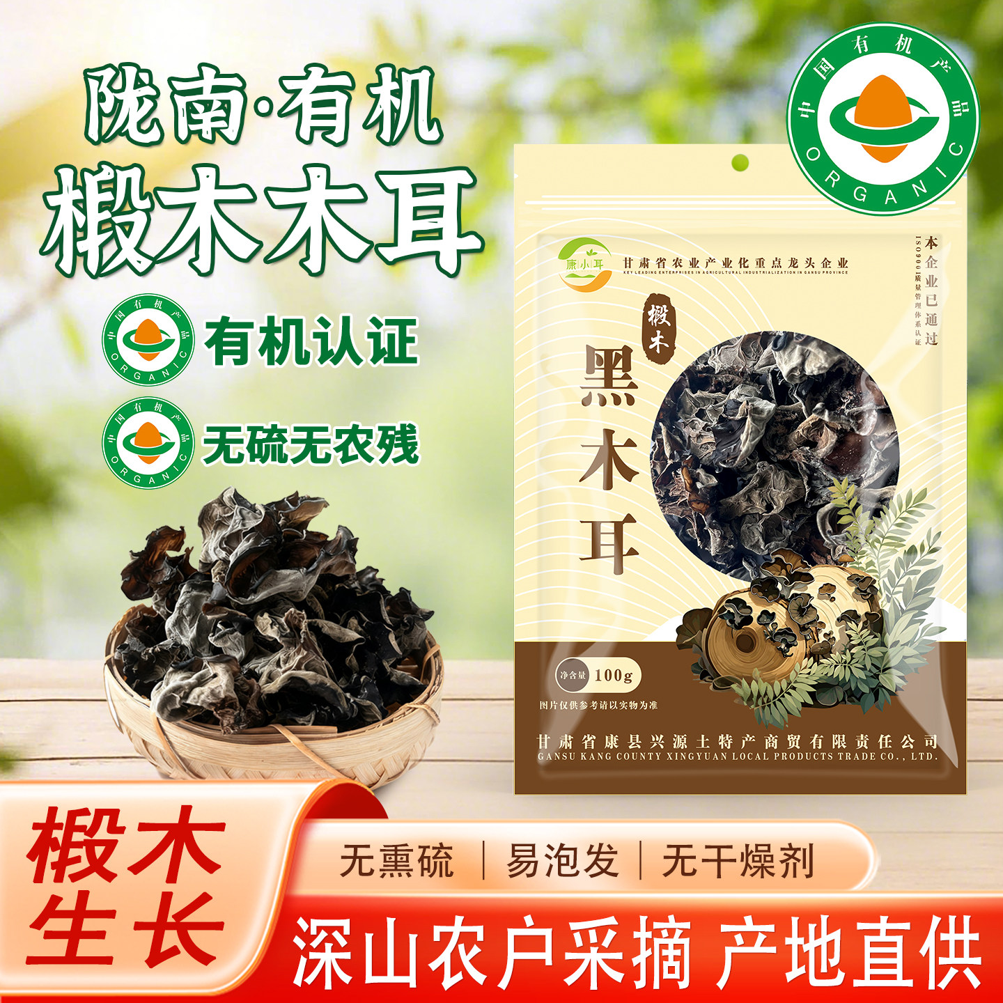 有机椴木木耳甘肃康县青冈木黑木耳干货软糯无根肉厚大朵秋耳新货