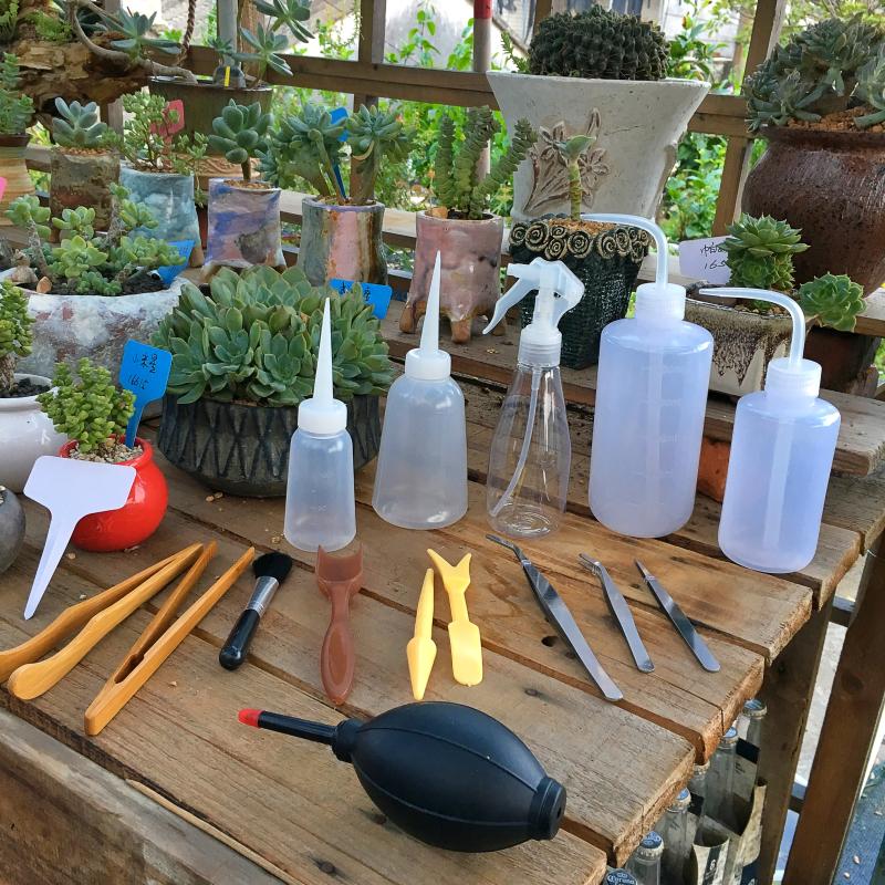 种多肉小工具花卉养花园艺种植小铁铲桶铲喷壶浇水壶气吹镊子组合