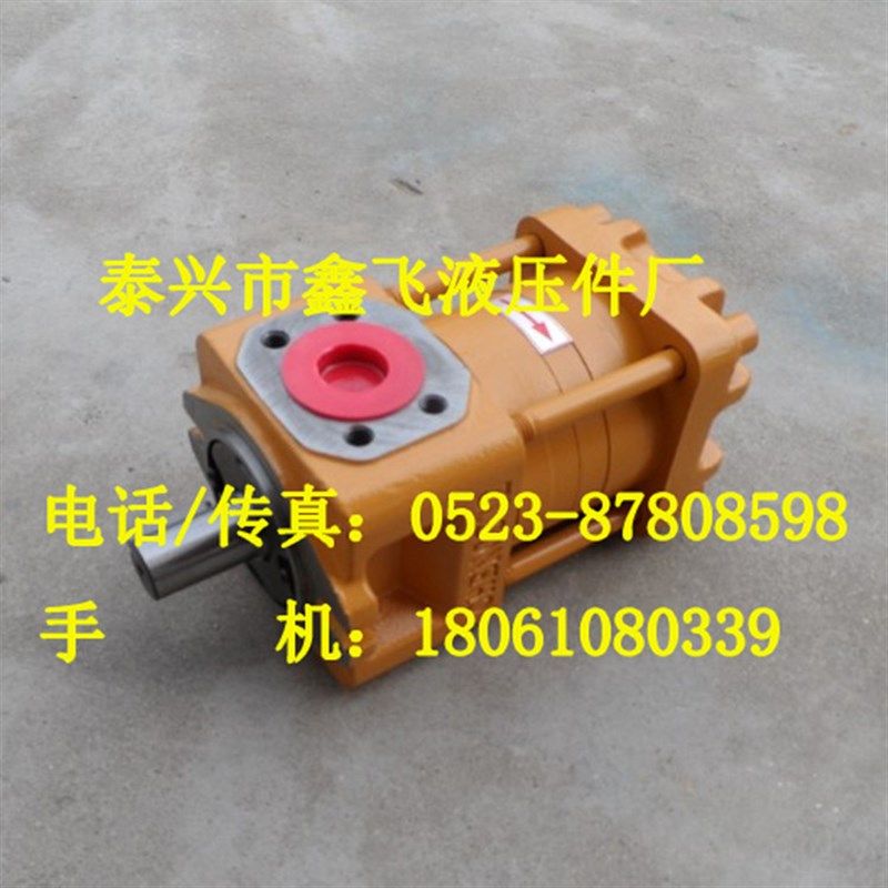 NB2 NB3 G10F G12F G16F G20F NT3-G25F NT2共轭内啮合齿轮油泵QT