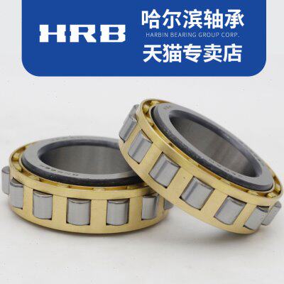 HRB哈尔滨轴承 RN204 RN205 RN206 RN207 RN219 RN222 RN228 M