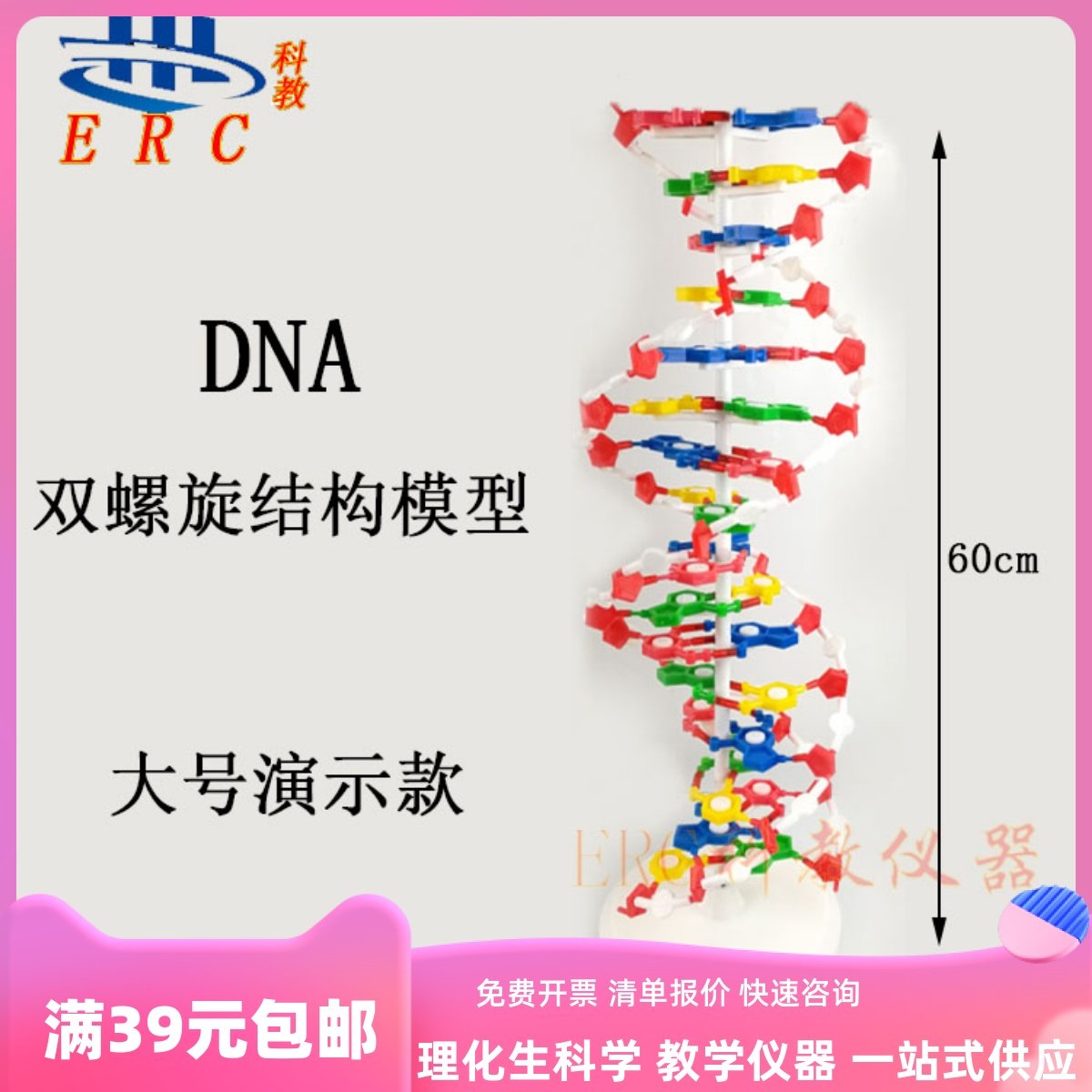 生物立体DNA双螺旋结构模型大号大尺寸教师用课堂教学道具可拆卸