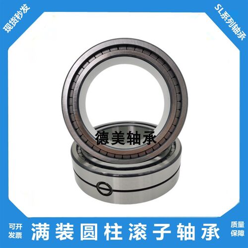 满装圆柱滚子轴承SL045010 045011 045012 045013 045014 045015