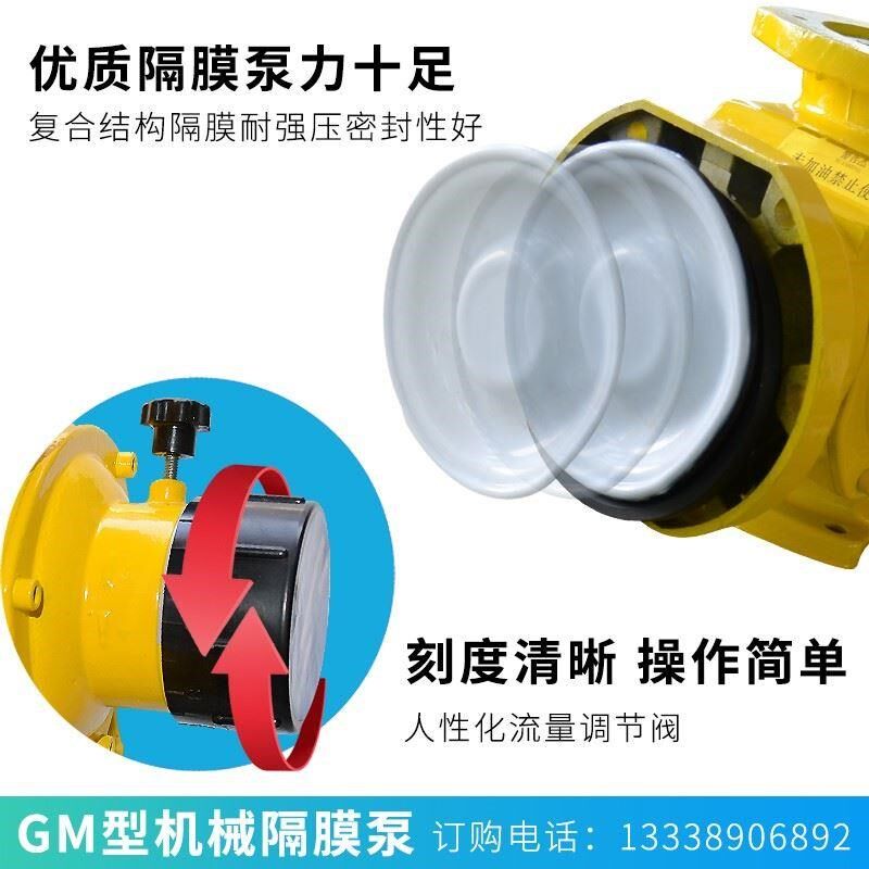 天成计量泵GM机械隔膜计量泵流量泵可调耐腐蚀电磁定量泵加药泵