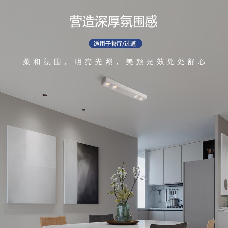 led明装射灯防眩智能吸顶式长条形斗胆灯家用无主灯格栅超薄筒灯