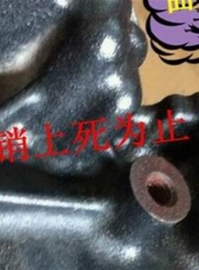 大众奥迪 波罗 朗逸 斯柯达 高尔夫1.4/1.6正时专用工具T10171A