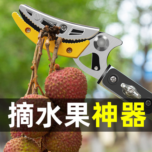 摘果神器伸缩杆高空采摘果子高枝剪摘水果荔枝枇杷龙眼摘果器剪刀