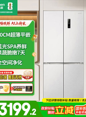 容声503L蓝光保鲜平嵌十字四门零嵌入式电冰箱BCD-503WD1FPQ