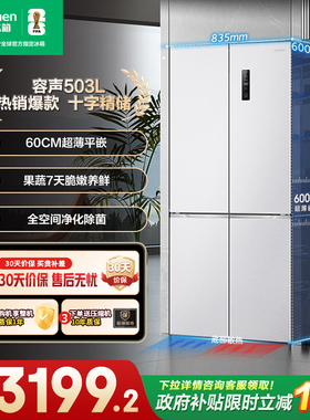 容声503L蓝光保鲜平嵌十字四门零嵌入式电冰箱BCD-503WD1FPQ