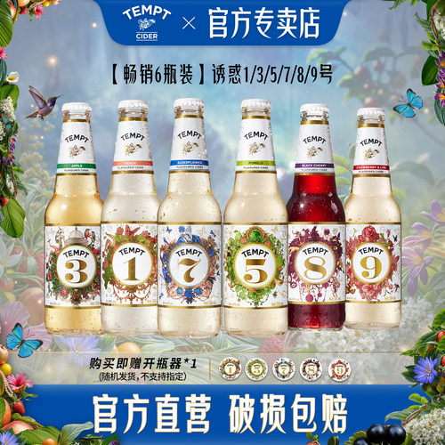 TEMPT接骨木7号果酒组合混合口味