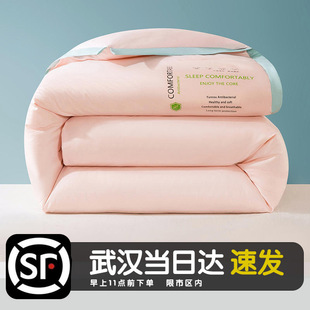 大豆纤维6斤8斤加厚秋冬被被水洗棉单人双人被子被芯冬季 春秋被