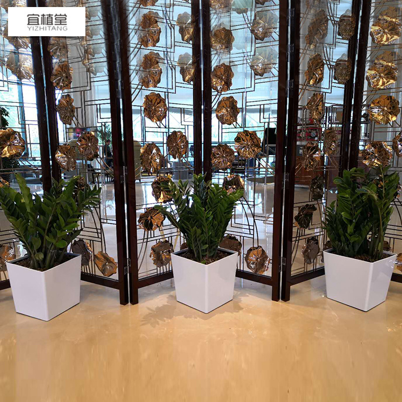 北欧方形花盆塑料烤漆四方特大花盆懒人储水自动吸水大号落地花盆