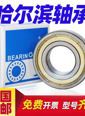 哈尔滨深沟球轴承6000 6001 6002 6003 6004 6005N 2RZ 2Z P5 C3
