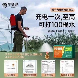 宁德锂电池电农动喷雾器YXR蓄池1电2V大容量用电瓶式 背负配件锂