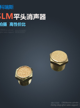 电磁阀平头消声器 BSLM-01 BSLM-02 BSLM-03 BLSM-04 BSM-06 分