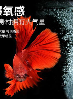 水族箱养鱼USB5V充氧泵增氧泵增氧机静音小型家用鱼缸打氧气管泵