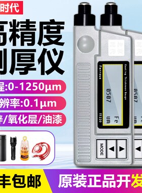 北京时代涂层测厚仪TT220不锈钢油漆钢铁氧化镀锌层TT260铁铝两用