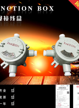 防爆接线盒 AH系列 防爆接线箱 防爆接线端 过线盒 IIC接线盒