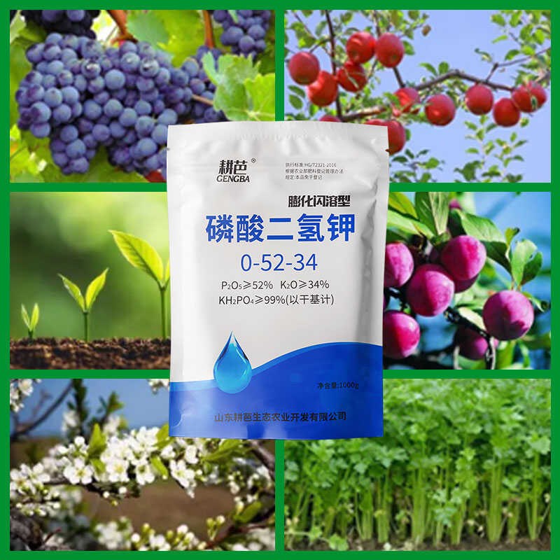 膨化闪溶速溶磷酸二氢补磷叶面肥水溶肥料