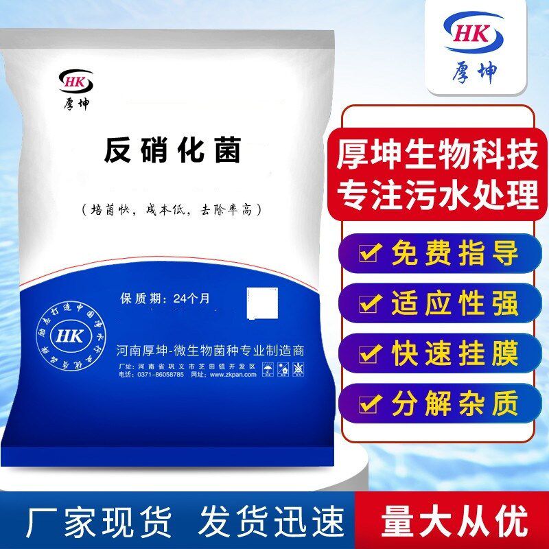 污水处理菌种反硝化菌总氮去除菌缺氧池用降总氮