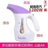 立挺 白领家用小型蒸汽挂烫机迷你型电烫斗 蒸汽挂烫机式