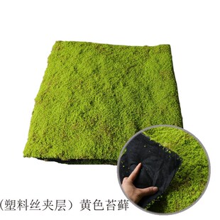 仿真青苔草皮绿色人造草坪植物墙橱窗微景观盆景装饰苔藓植绒草皮