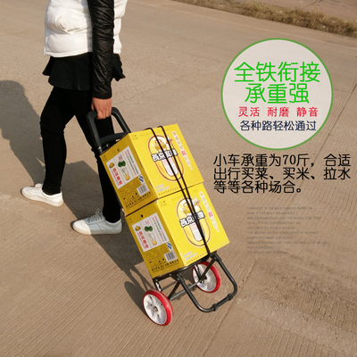 轻便买菜车折叠家用购物小拉车菜篮便携老年人超市拖车手拉杆推车
