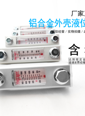 液位计YWZ80T100T125T127T150T200T250T300T水位显示器计油位计
