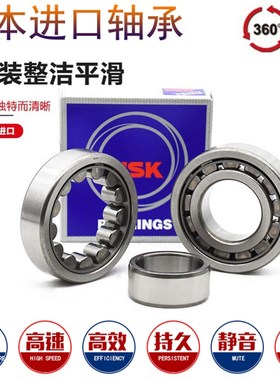 NSK进口轴承N NU NJ203 204 205 206 207 208 209 210 211E EM W