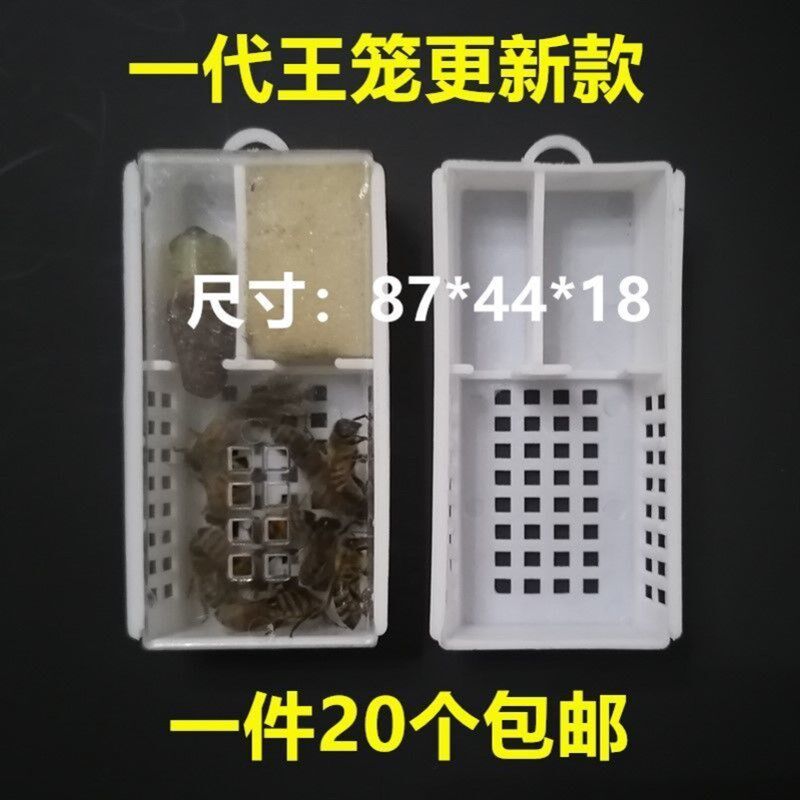 蜂王邮寄王笼 塑料蜜蜂蜂皇保护王龙 透明可视 养蜂工具包邮