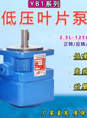 液压叶片泵YB1-2.5 4 6 10 12 16 20 25 32 40 50 63 100车床油泵