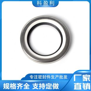 不锈钢骨架油封PTFE唇口 内径 65 66 67 68**80 85 90 100