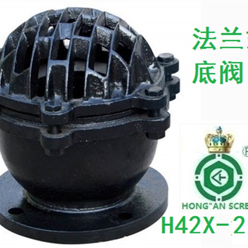 H42X-2.5铸铁法兰底阀水泵抽水铁莲蓬头DN40/50/65/80/10Y0-DN450