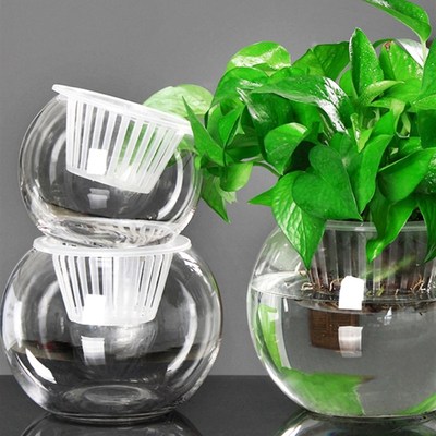 创意水培瓶植物透明塑料花瓶容器绿萝花盆鱼花共养缸水养摆件器皿