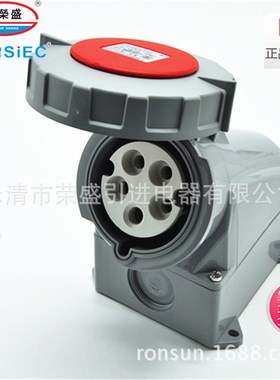 5芯16A荣盛CEIRSIEC工业防水防爆插座(明装)RS-1200 航空插座