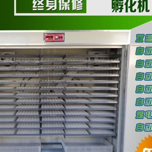 智能孵化机全自动家用型孵化器1232鸡苗孵蛋箱抱小鸡机器孵蛋厂家
