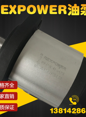 REXPOWER锐力液压油泵RGP-F306R/F310R/316 RGP-F318R-K4-C-L103