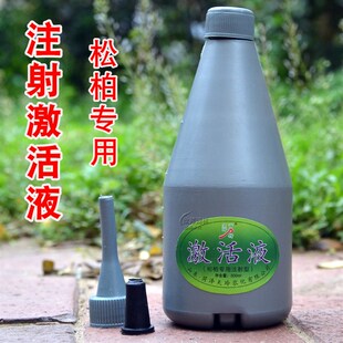 松柏激活液营养液通用型树干注入液松树柏树营养液大树营养吊针液